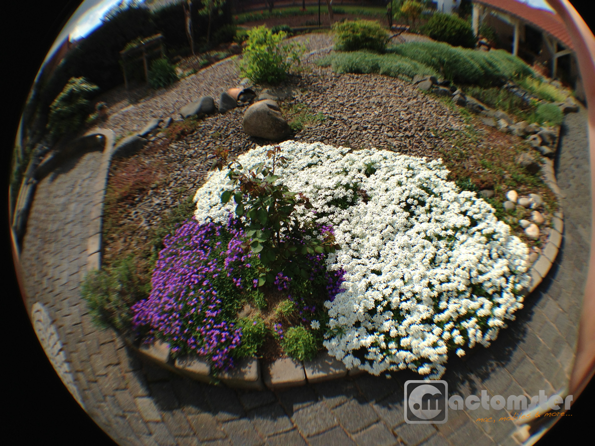 olloclip-fish-garden1